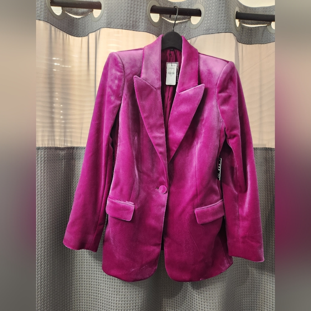 Express Tailored Velvet Pink Blazer Medium